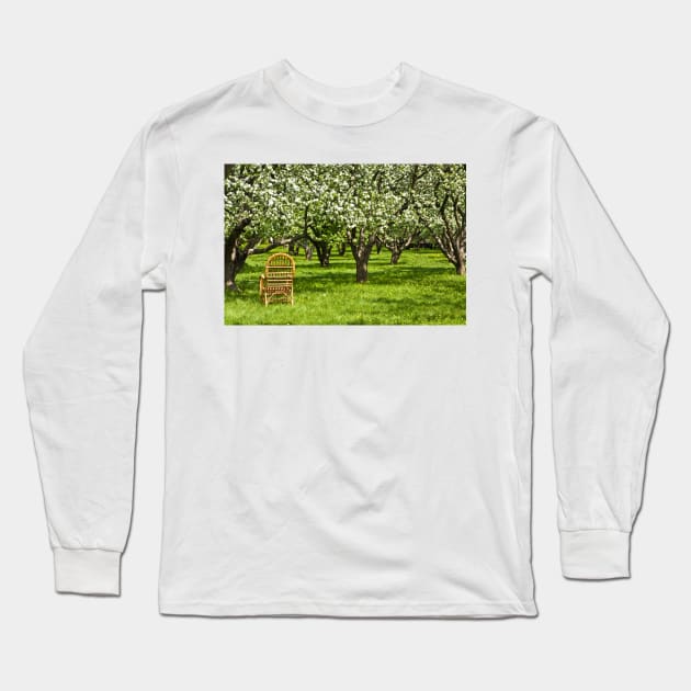 Apple garden Long Sleeve T-Shirt by IrinaAfonskaya